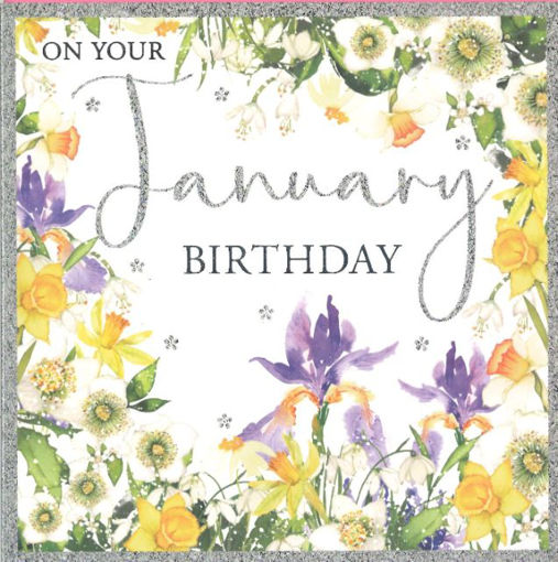 Picture of JANUARY BIRTHDAY CARD